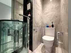 St. Regis Residences (D10), Apartment #628909401